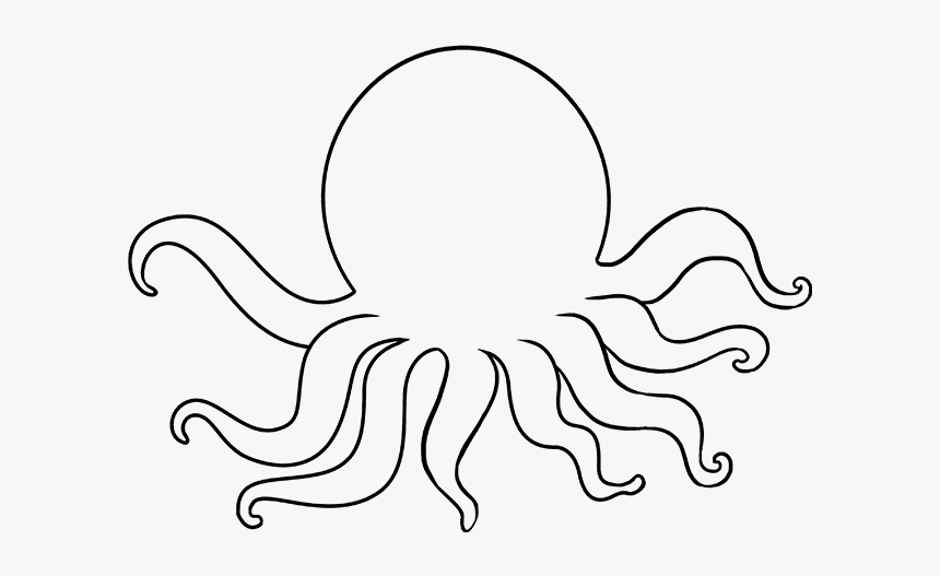 Detail Images Of Octopus Drawings Nomer 29