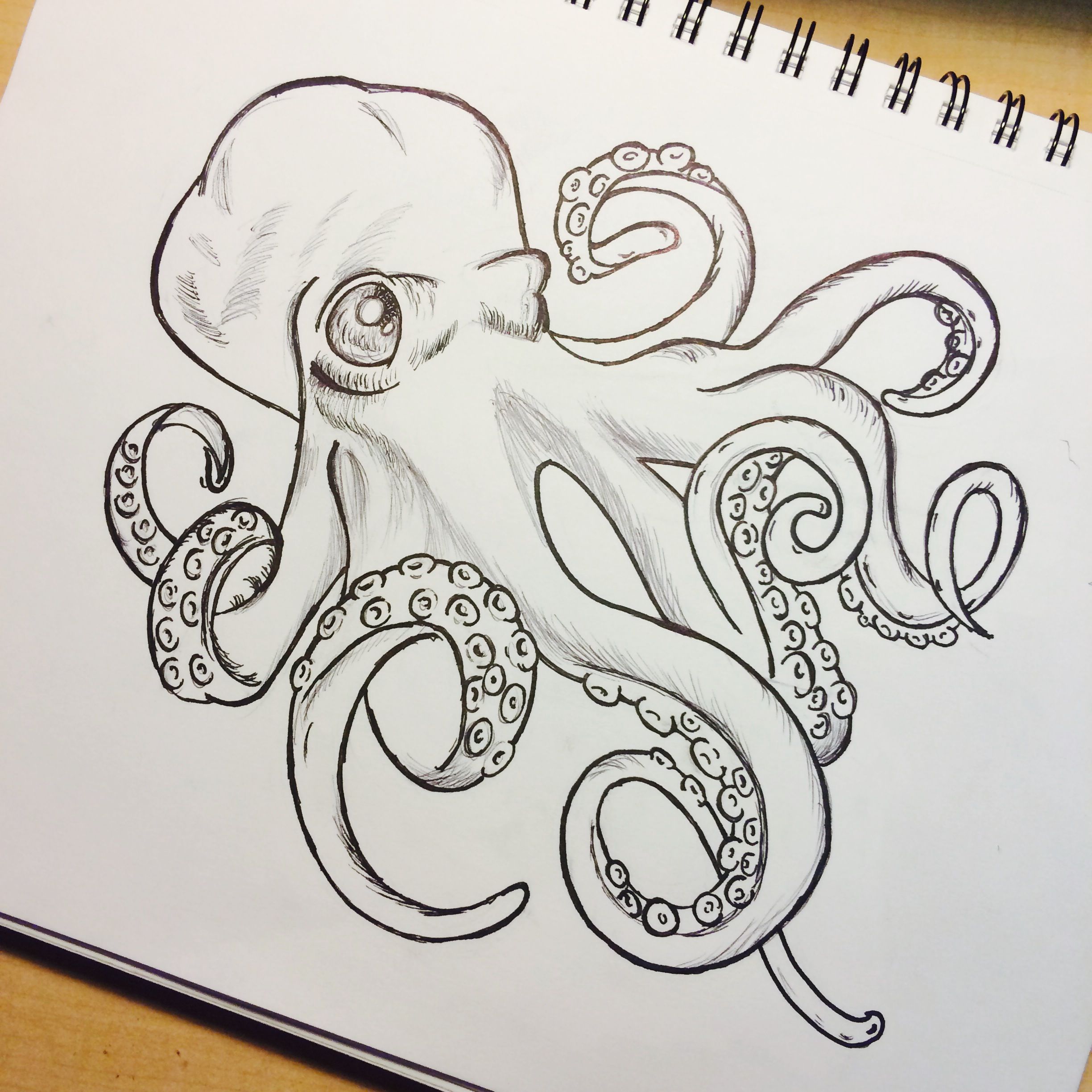 Detail Images Of Octopus Drawings Nomer 5