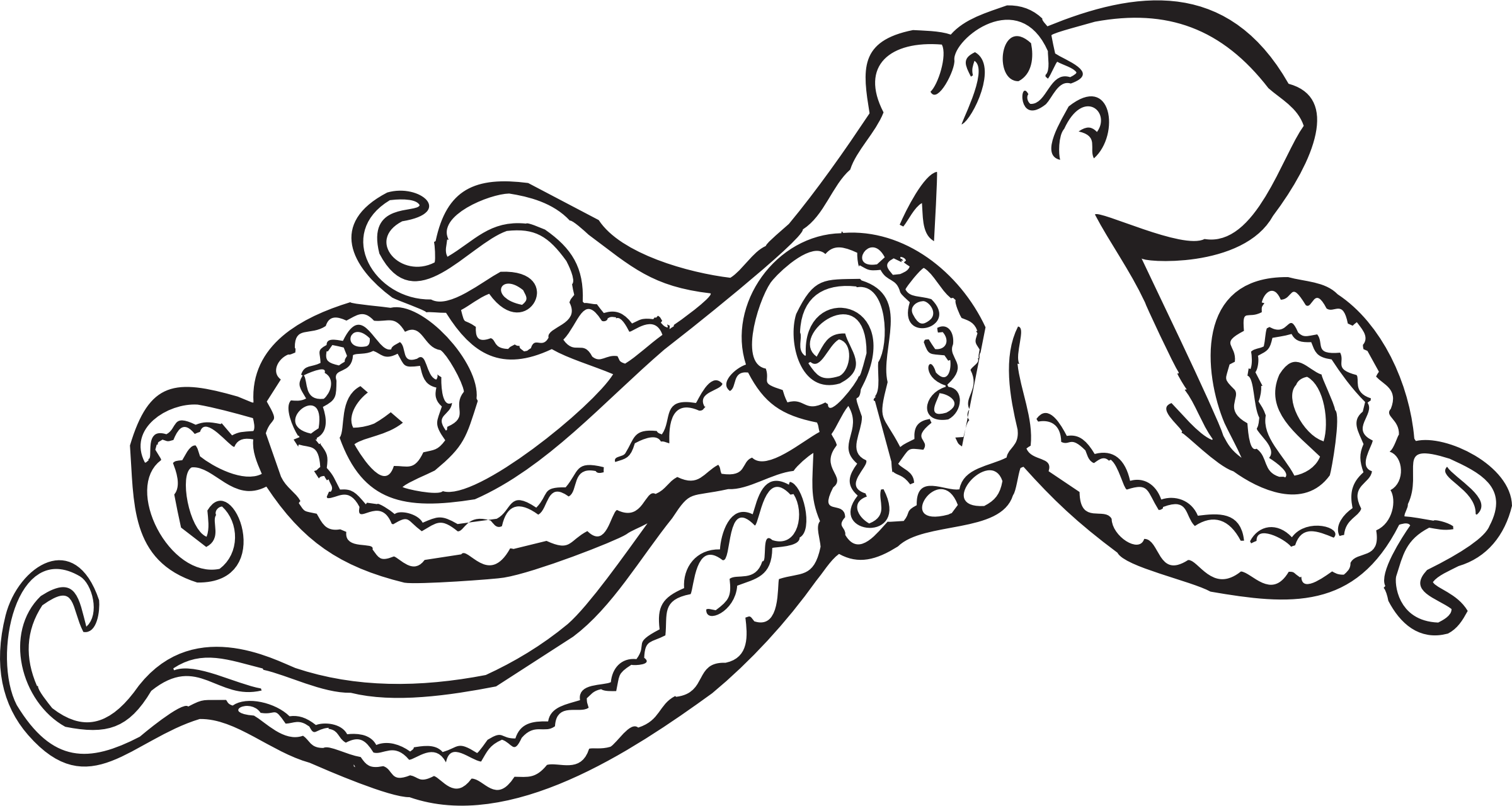 Detail Images Of Octopus Drawings Nomer 40