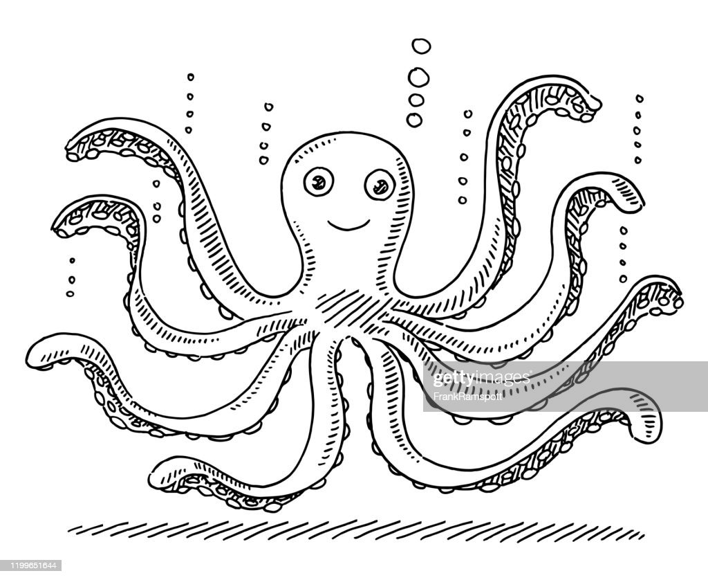 Detail Images Of Octopus Drawings Nomer 57