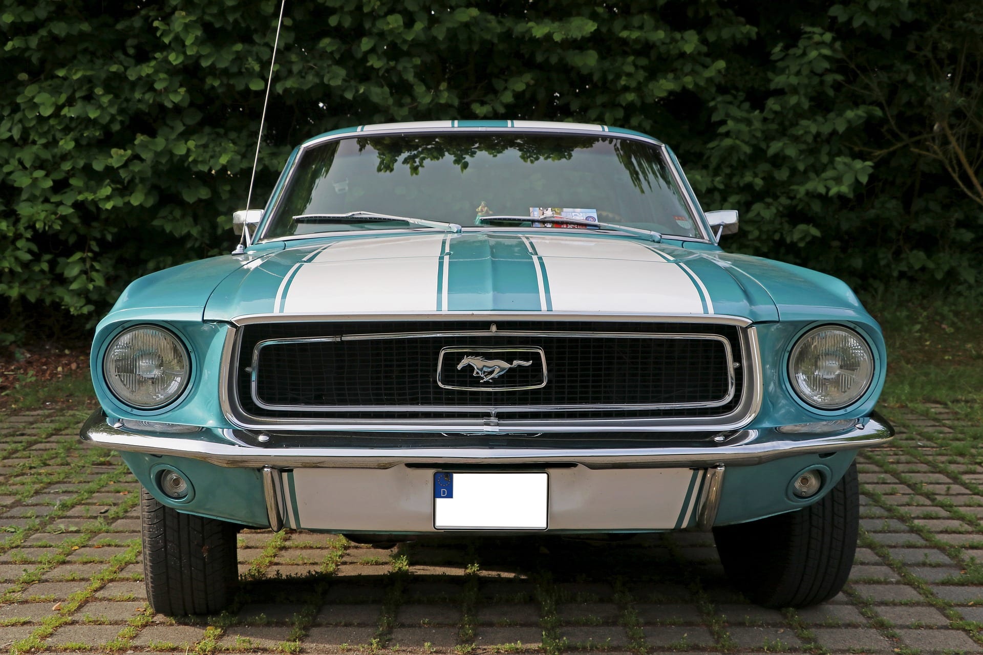 Detail Images Of Old Mustangs Nomer 12