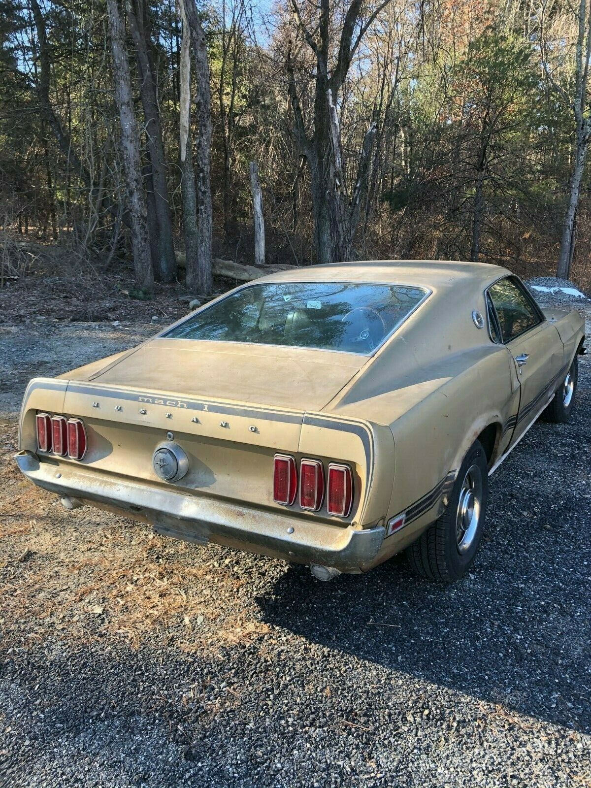 Detail Images Of Old Mustangs Nomer 43