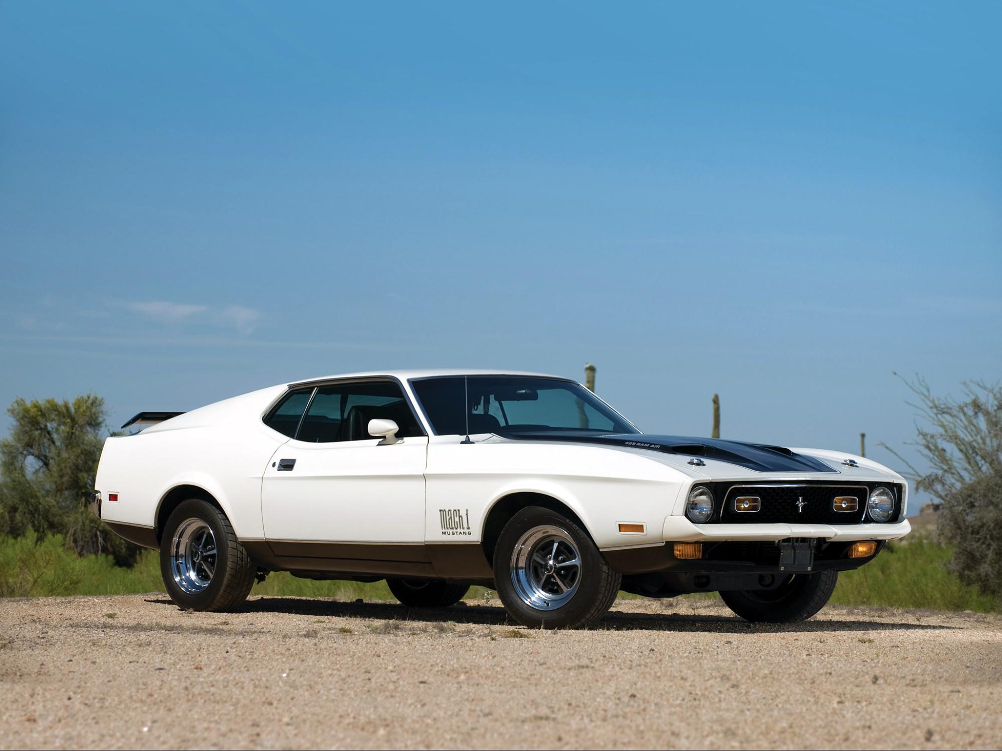 Detail Images Of Old Mustangs Nomer 46