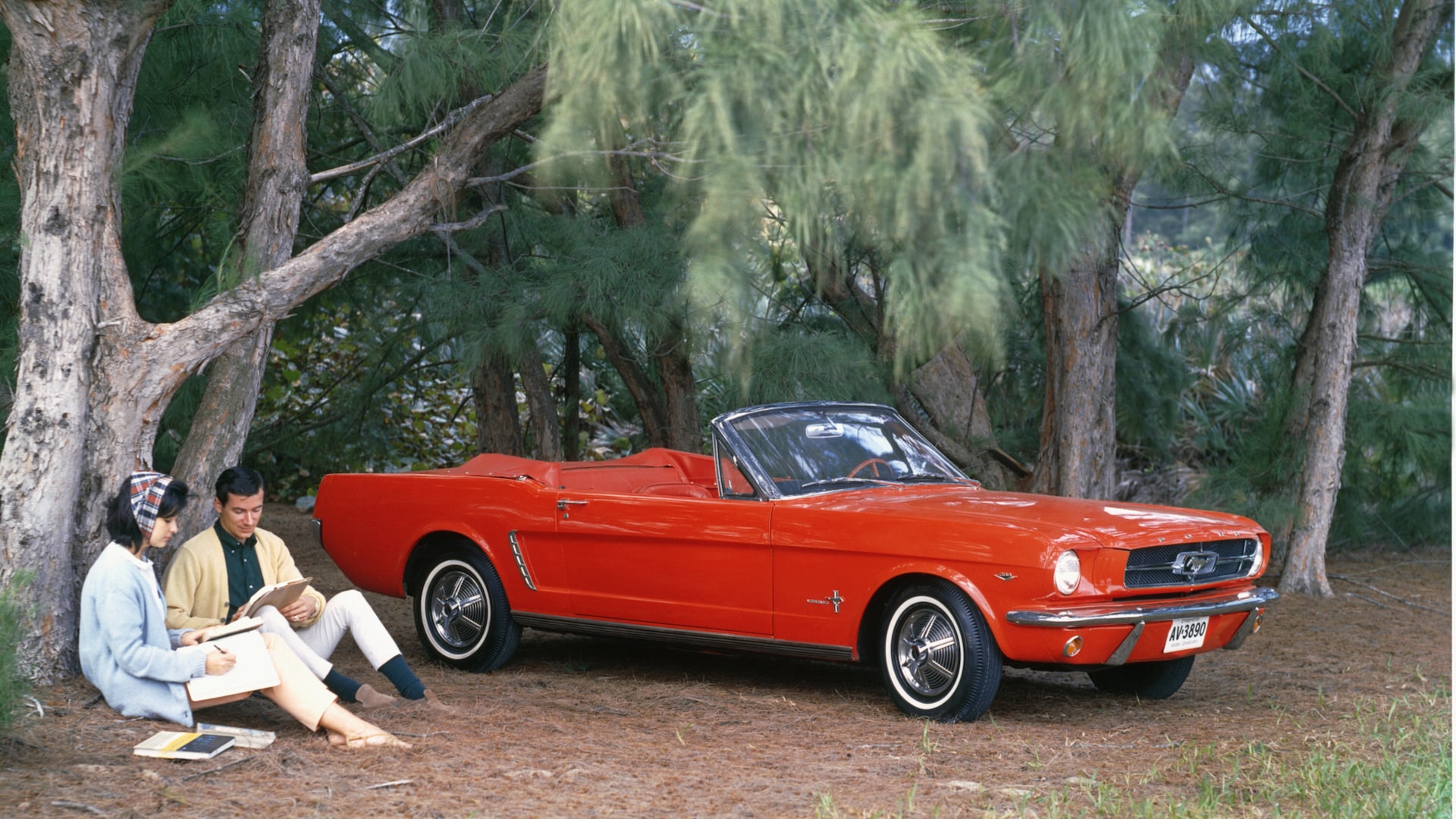 Detail Images Of Old Mustangs Nomer 49