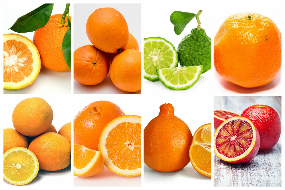 Detail Images Of Oranges Nomer 30