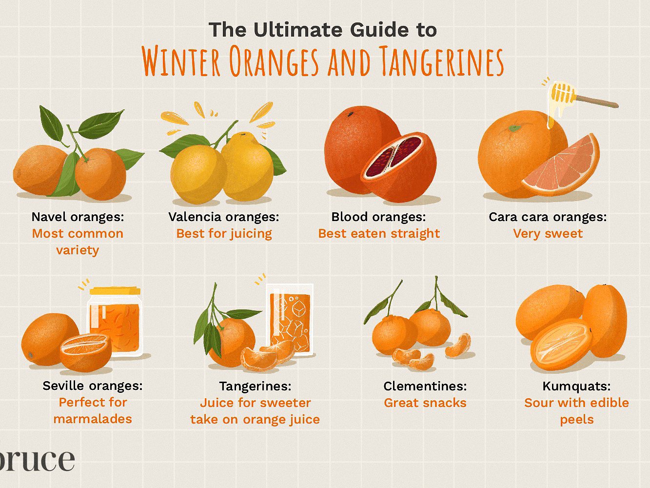Detail Images Of Oranges Nomer 33