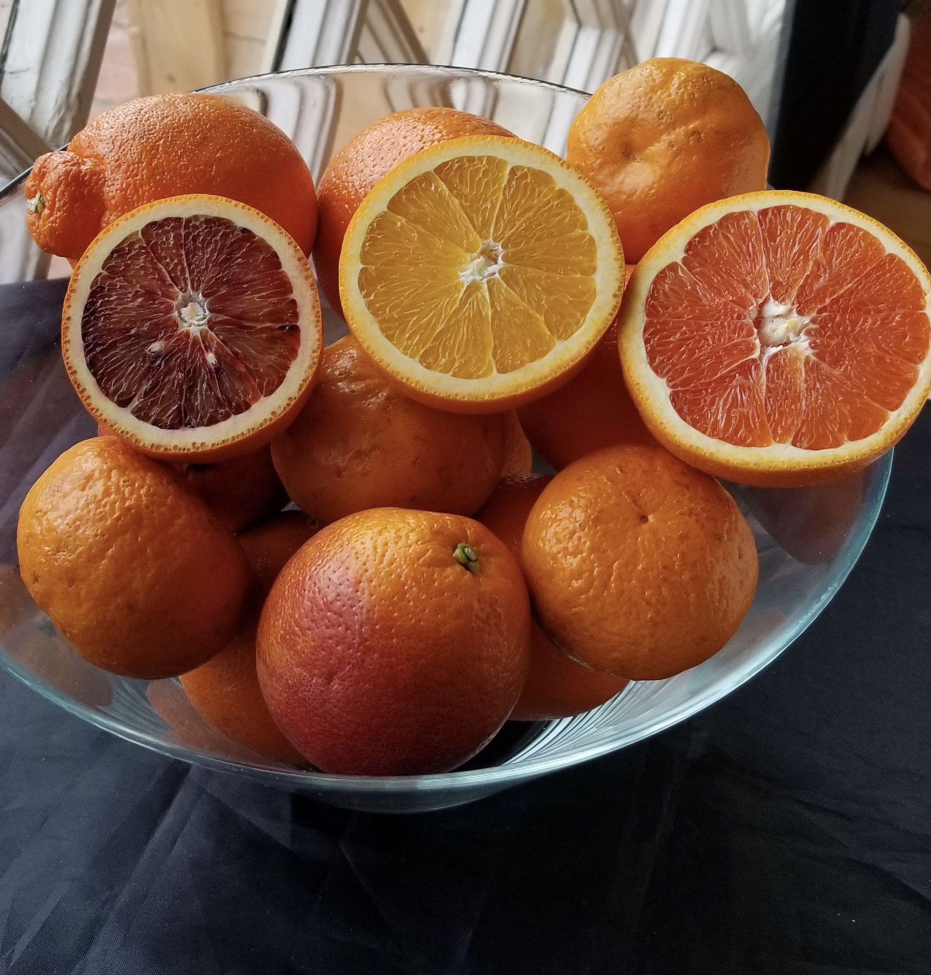 Detail Images Of Oranges Nomer 45