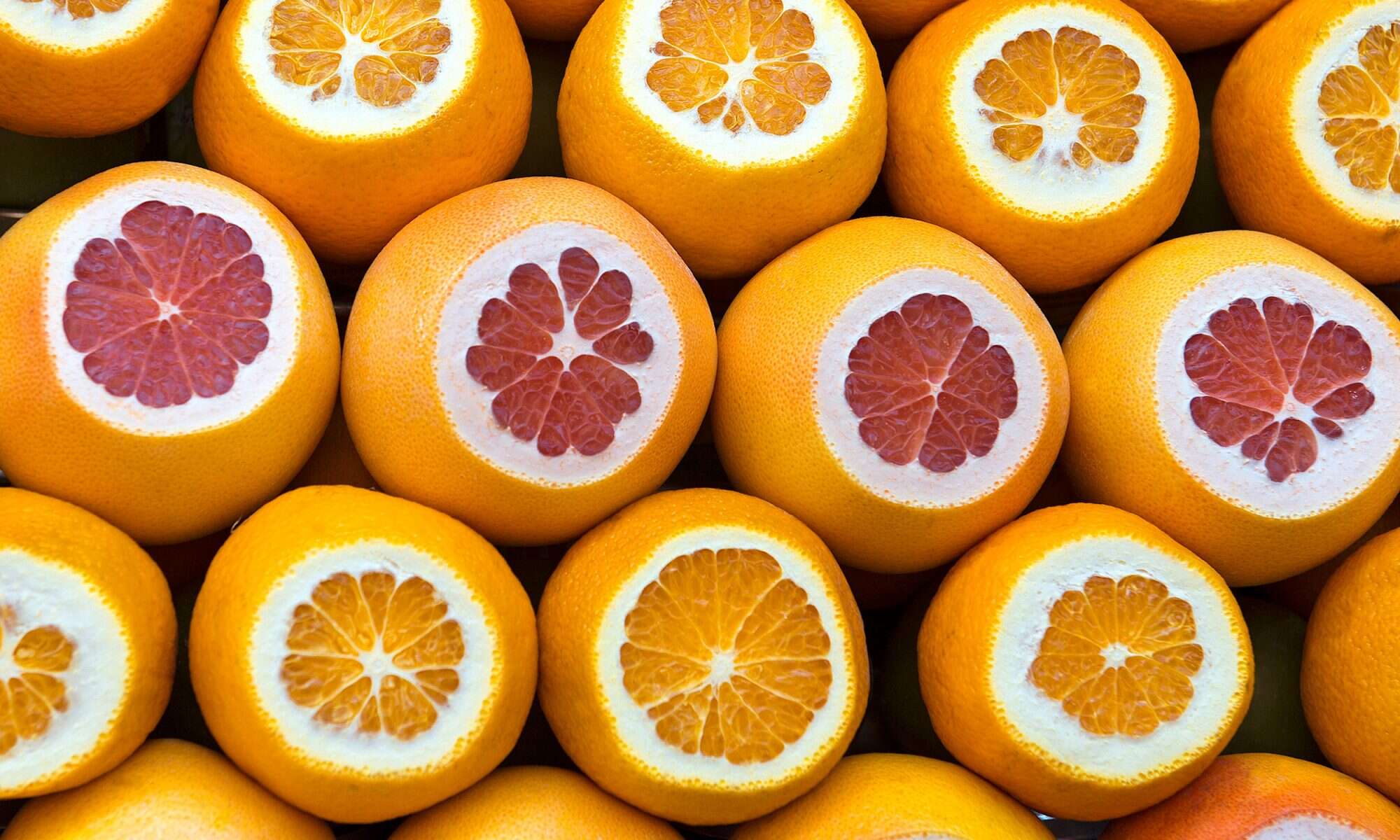 Detail Images Of Oranges Nomer 49