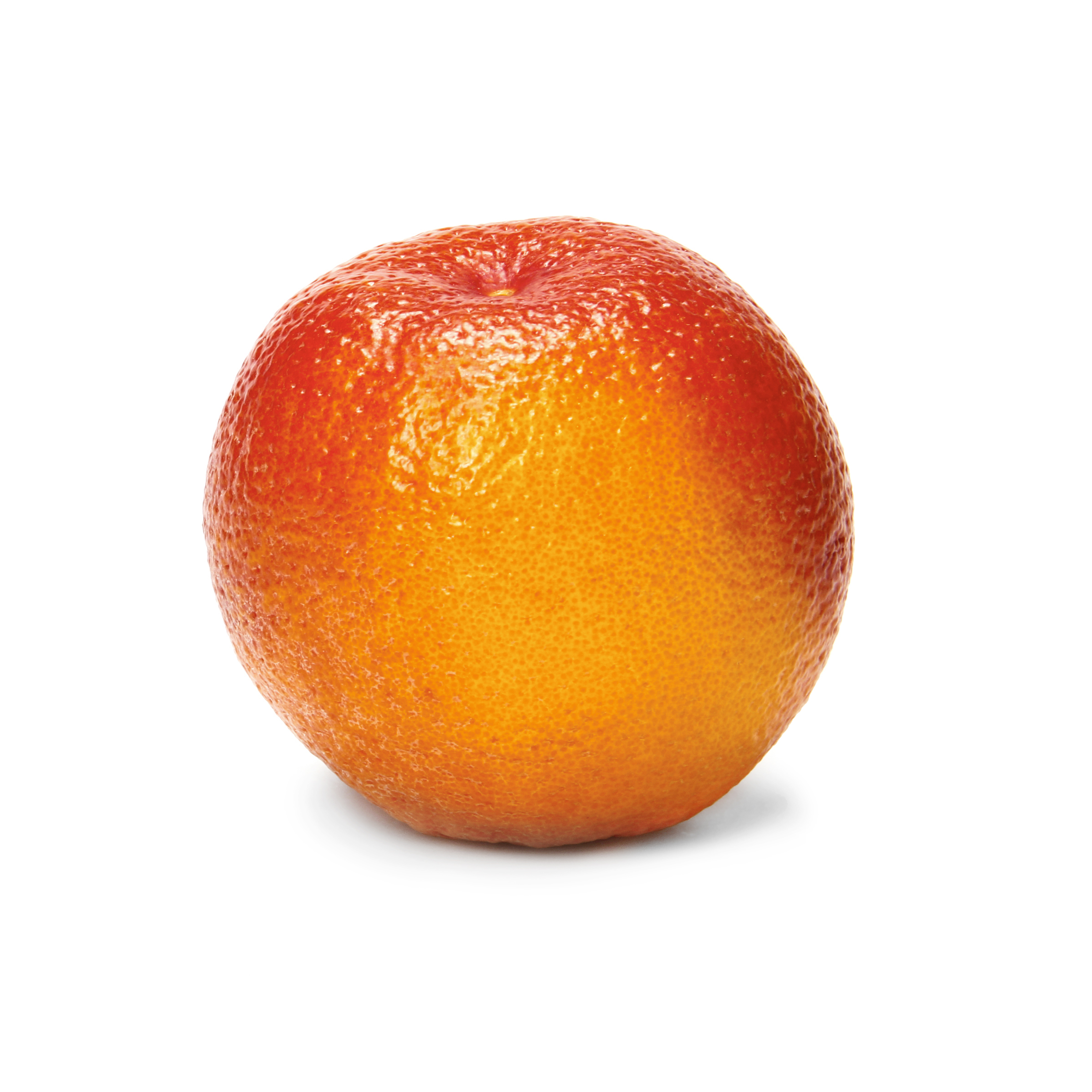 Detail Images Of Oranges Nomer 52