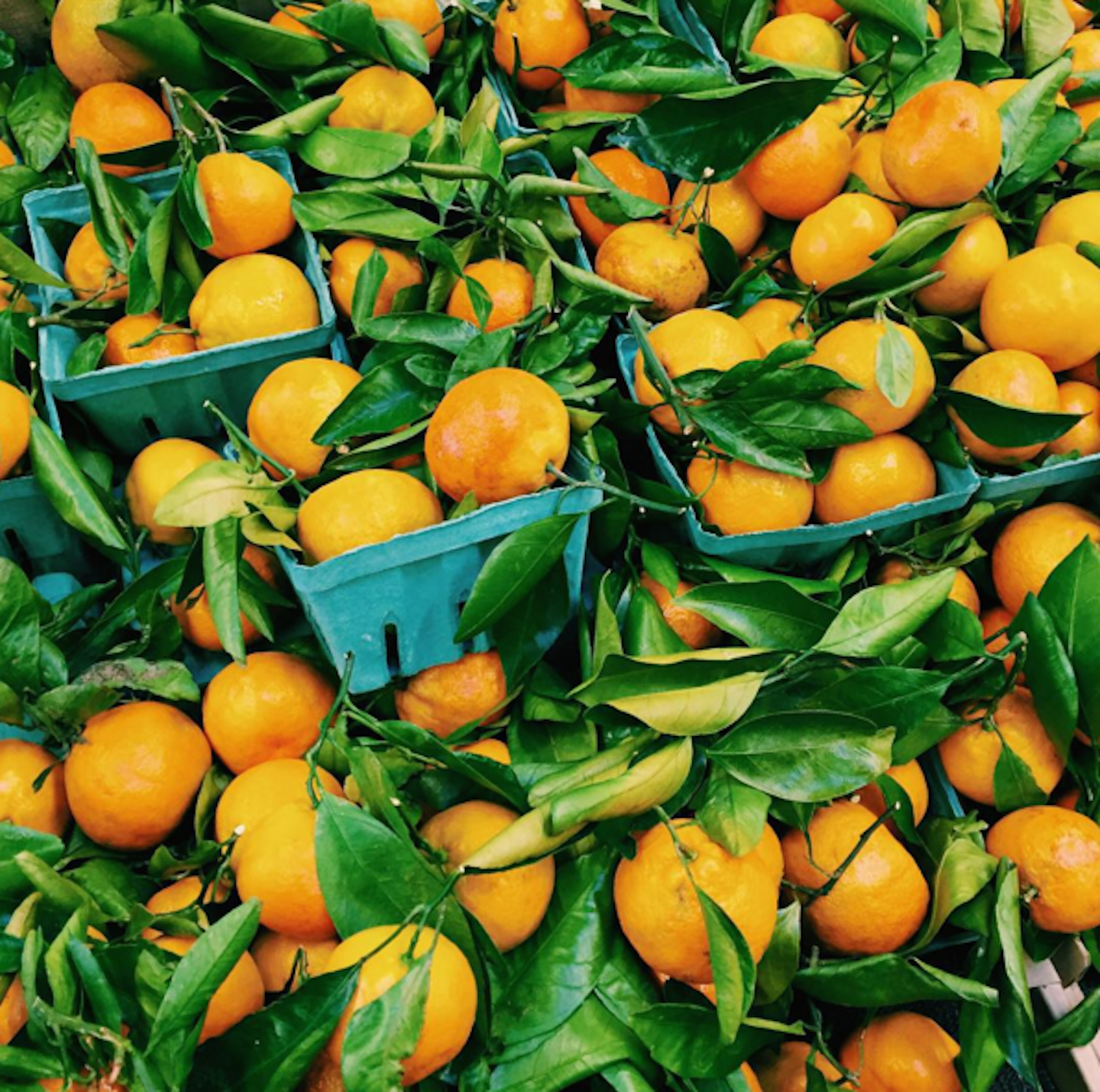 Detail Images Of Oranges Nomer 53