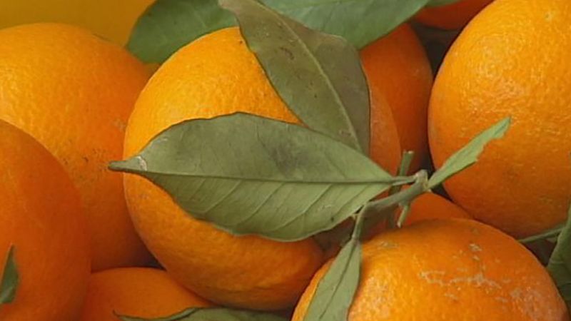 Detail Images Of Oranges Nomer 54