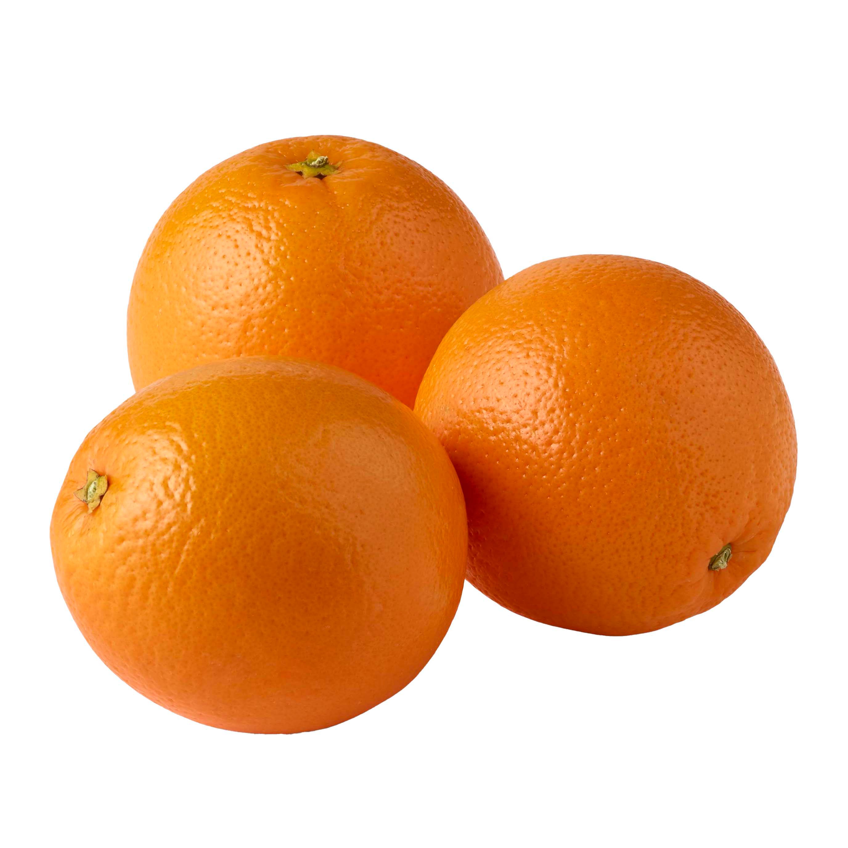 Detail Images Of Oranges Nomer 7