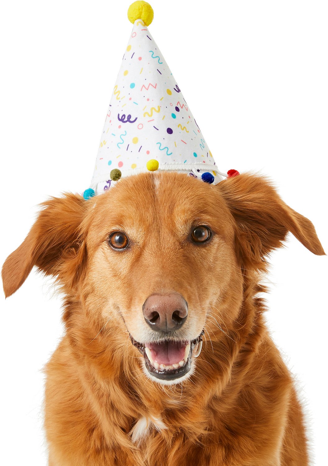 Detail Images Of Party Hats Nomer 48