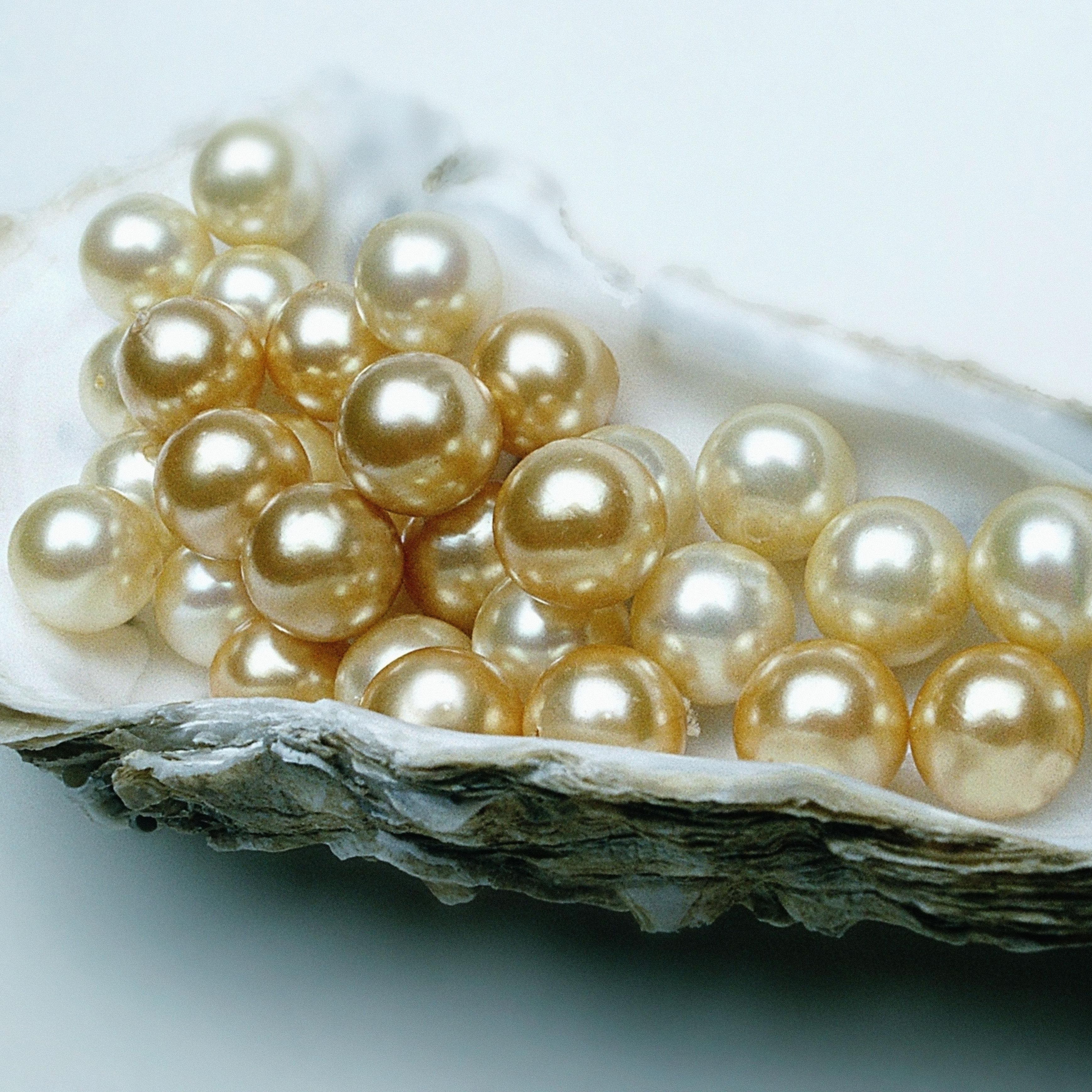 Detail Images Of Pearls Nomer 2
