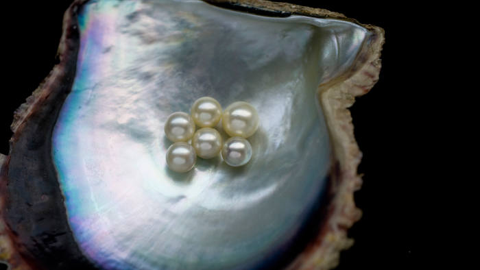 Detail Images Of Pearls Nomer 52