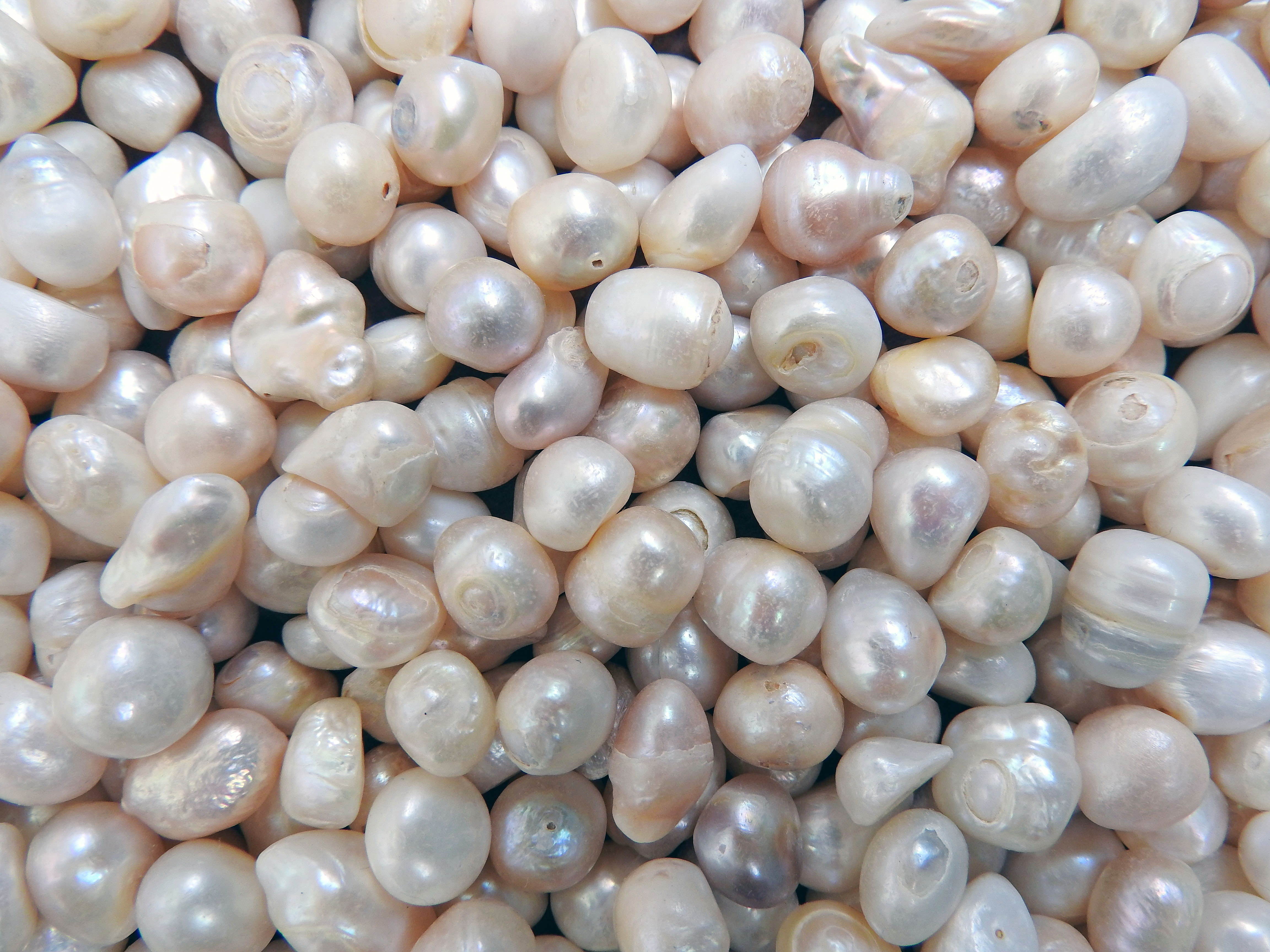 Detail Images Of Pearls Nomer 9