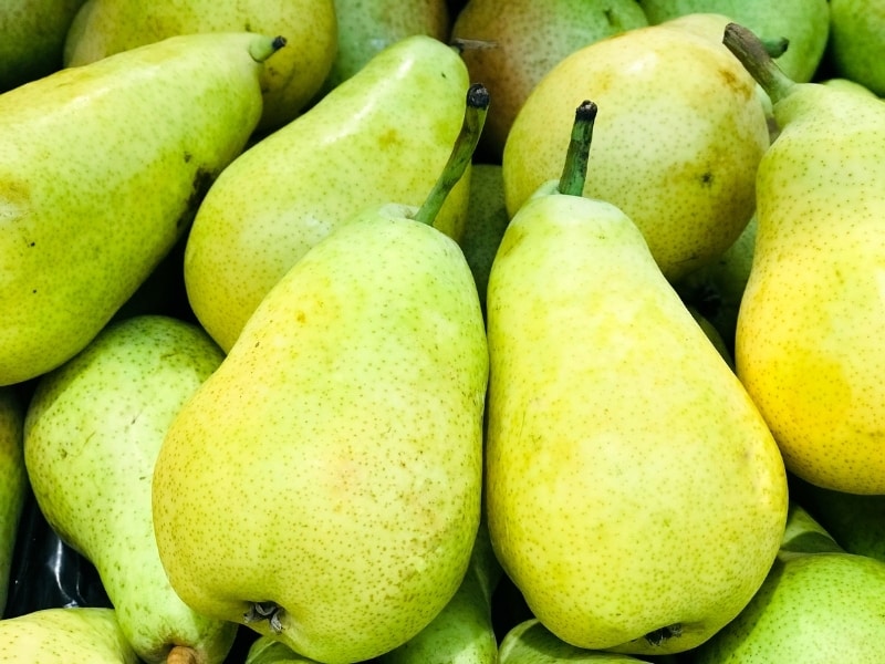 Detail Images Of Pears Fruit Nomer 26