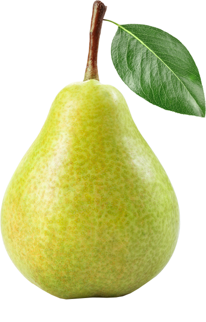 Detail Images Of Pears Fruit Nomer 38