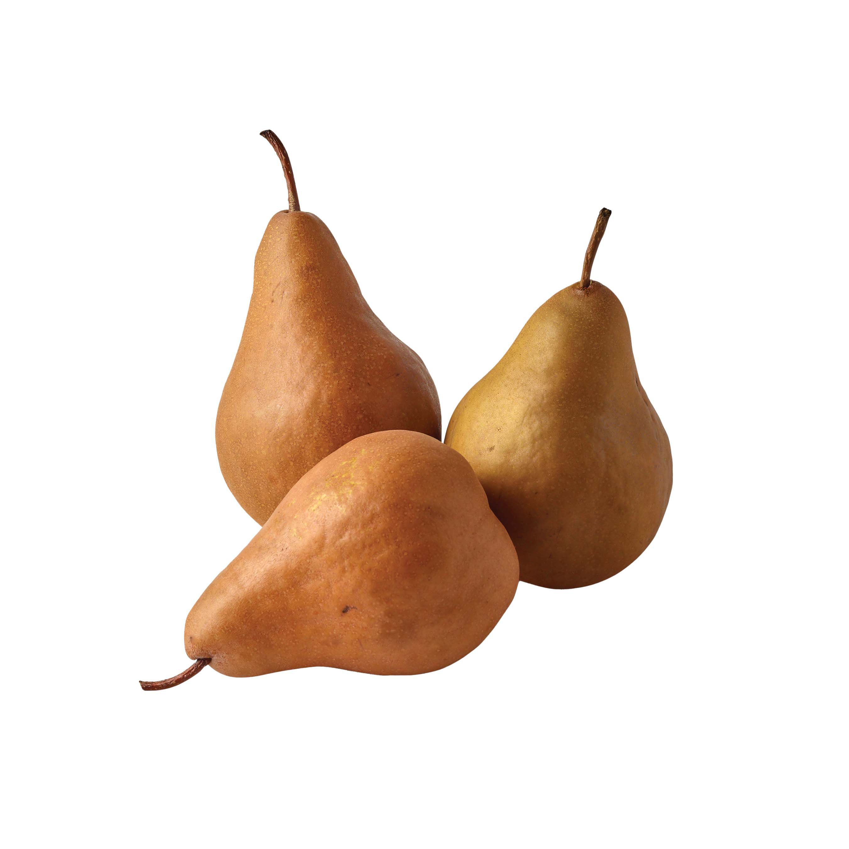 Detail Images Of Pears Fruit Nomer 45