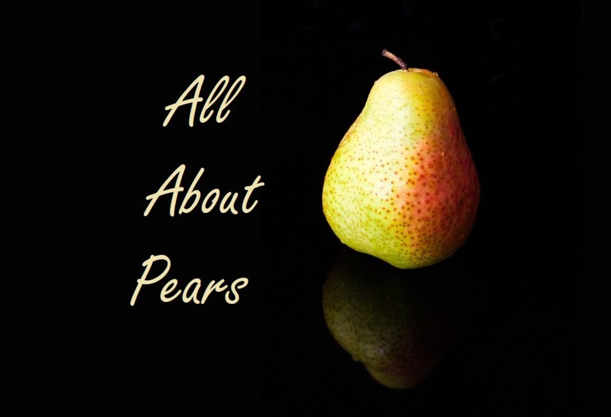 Detail Images Of Pears Fruit Nomer 48