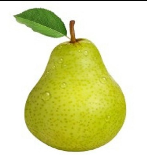 Detail Images Of Pears Fruit Nomer 8