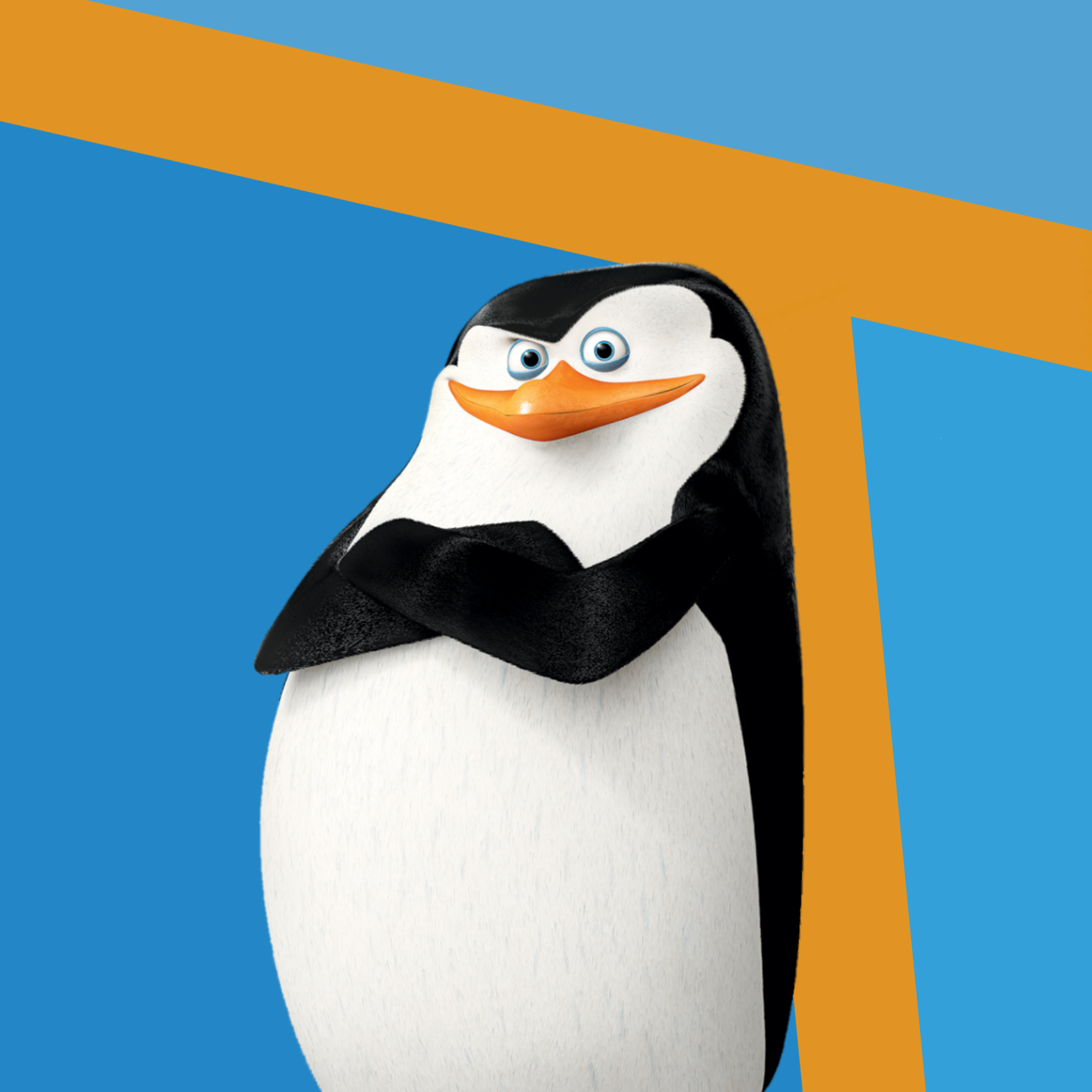 Detail Images Of Penguins Of Madagascar Nomer 34