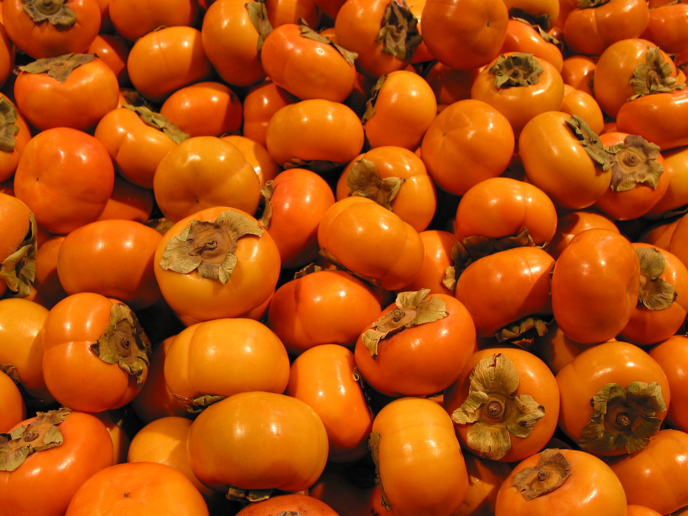 Detail Images Of Persimmon Fruit Nomer 38