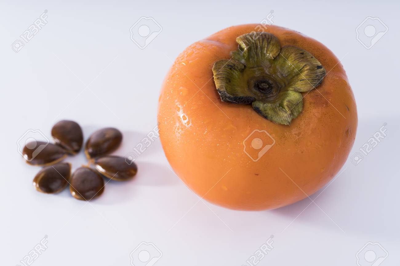 Detail Images Of Persimmon Fruit Nomer 50