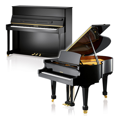 Detail Images Of Pianos Nomer 22