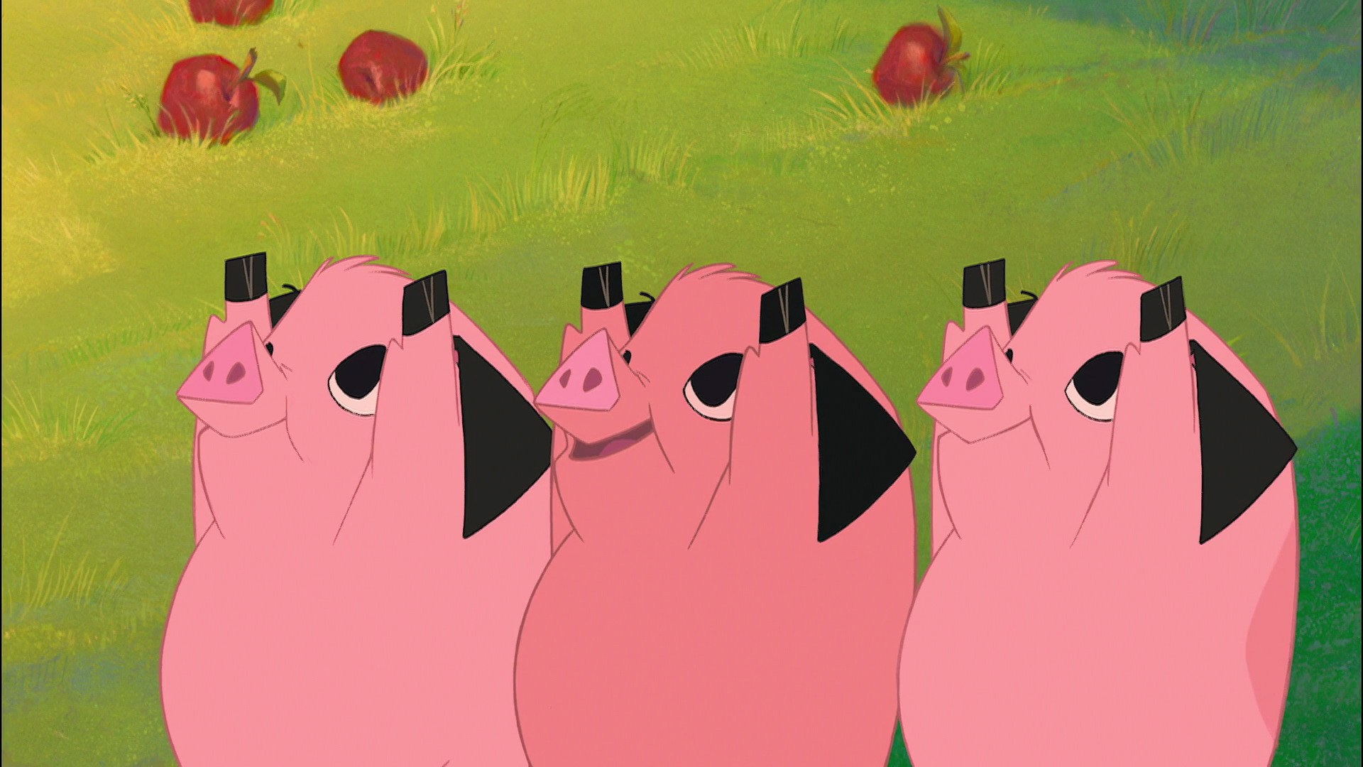 Images Of Piggies - KibrisPDR