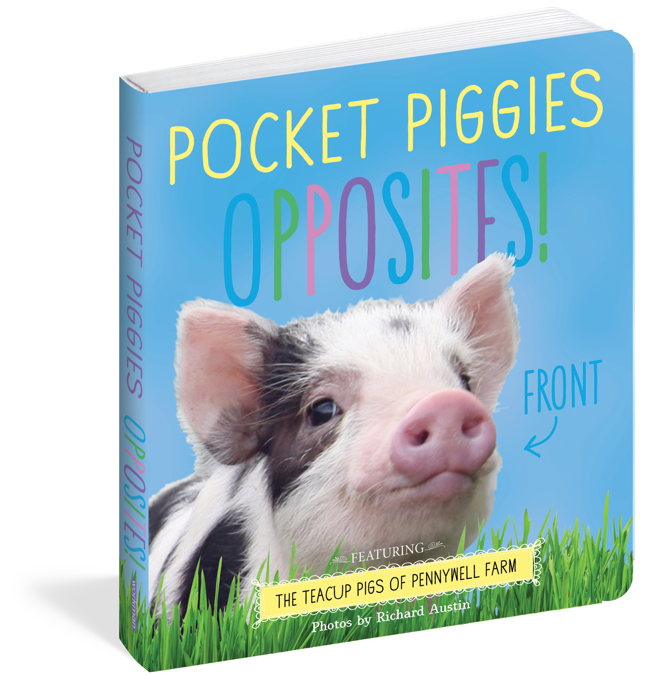 Detail Images Of Piggies Nomer 20