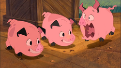 Detail Images Of Piggies Nomer 36