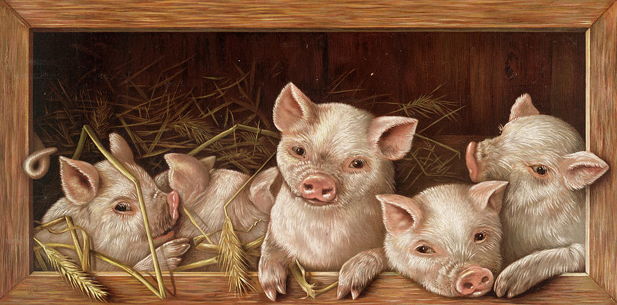 Detail Images Of Piggies Nomer 6