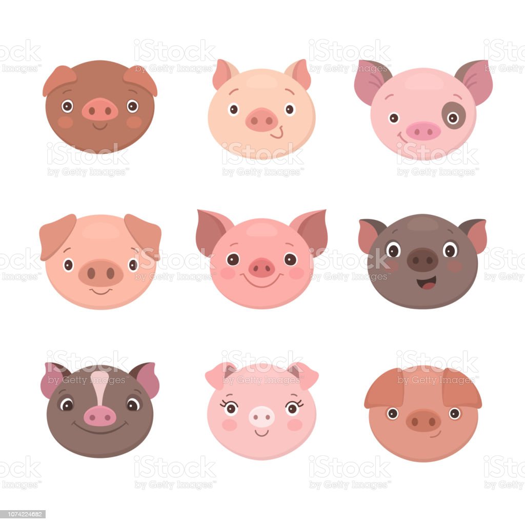 Detail Images Of Piggies Nomer 55