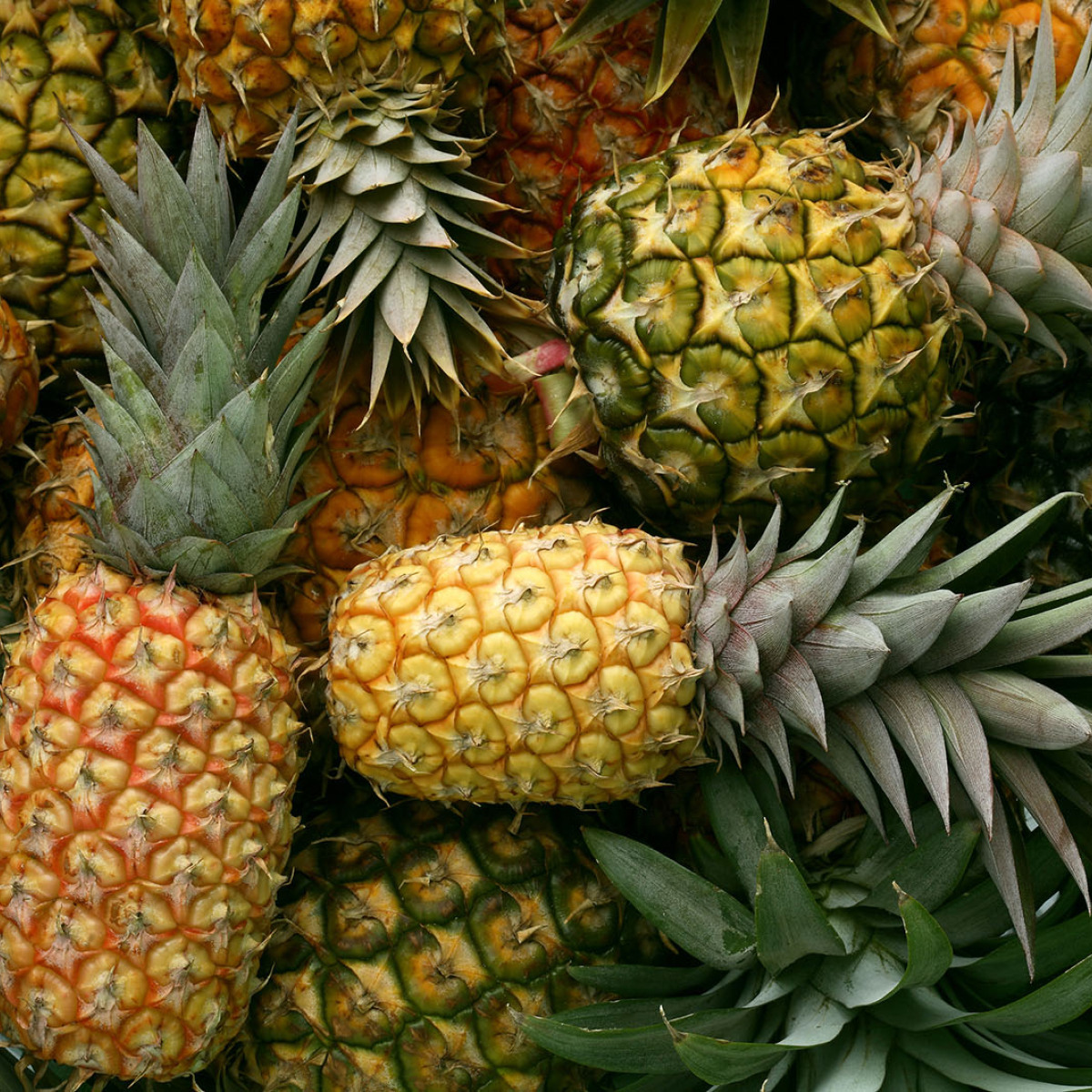 Detail Images Of Pineapples Nomer 58