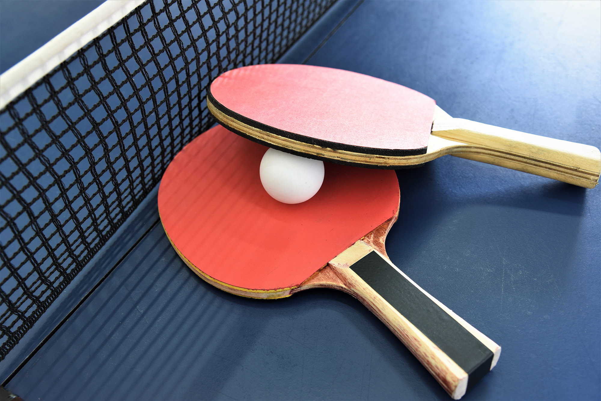 Detail Images Of Ping Pong Nomer 3