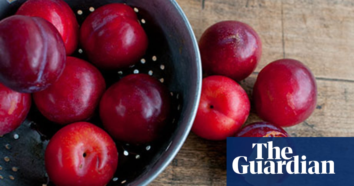 Detail Images Of Plums Nomer 21