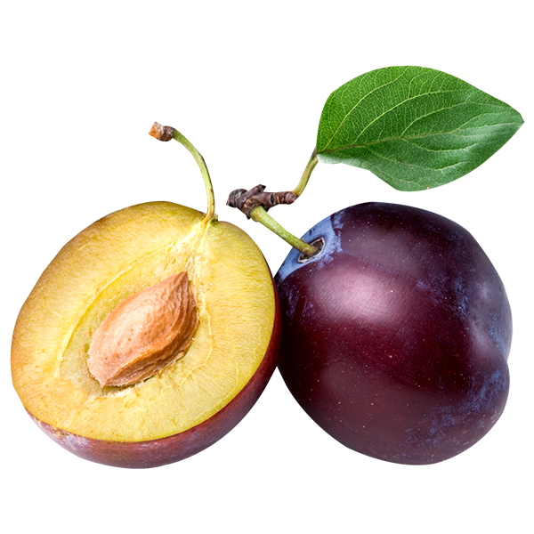 Detail Images Of Plums Nomer 22