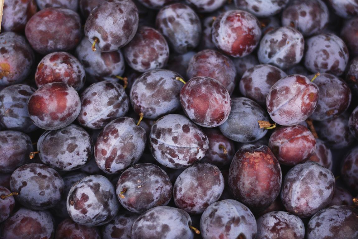 Detail Images Of Plums Nomer 25
