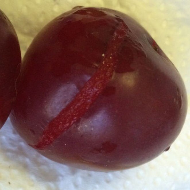 Detail Images Of Plums Nomer 26