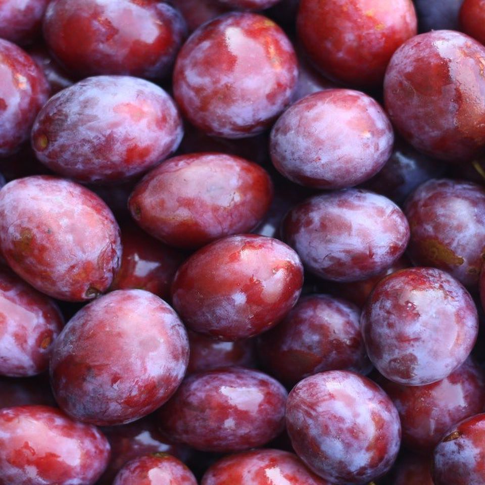 Detail Images Of Plums Nomer 27