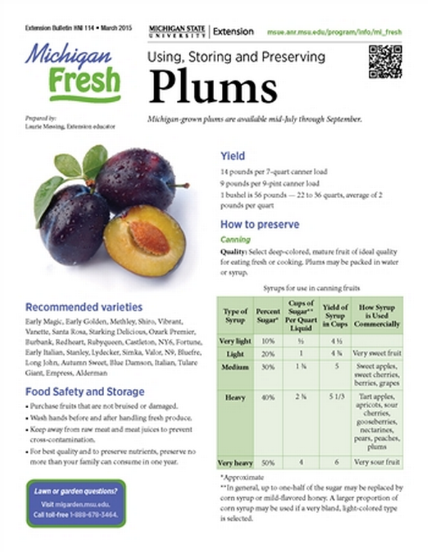Detail Images Of Plums Nomer 29