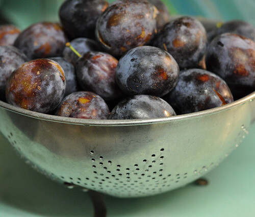Detail Images Of Plums Nomer 30