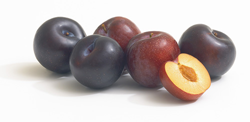 Detail Images Of Plums Nomer 35