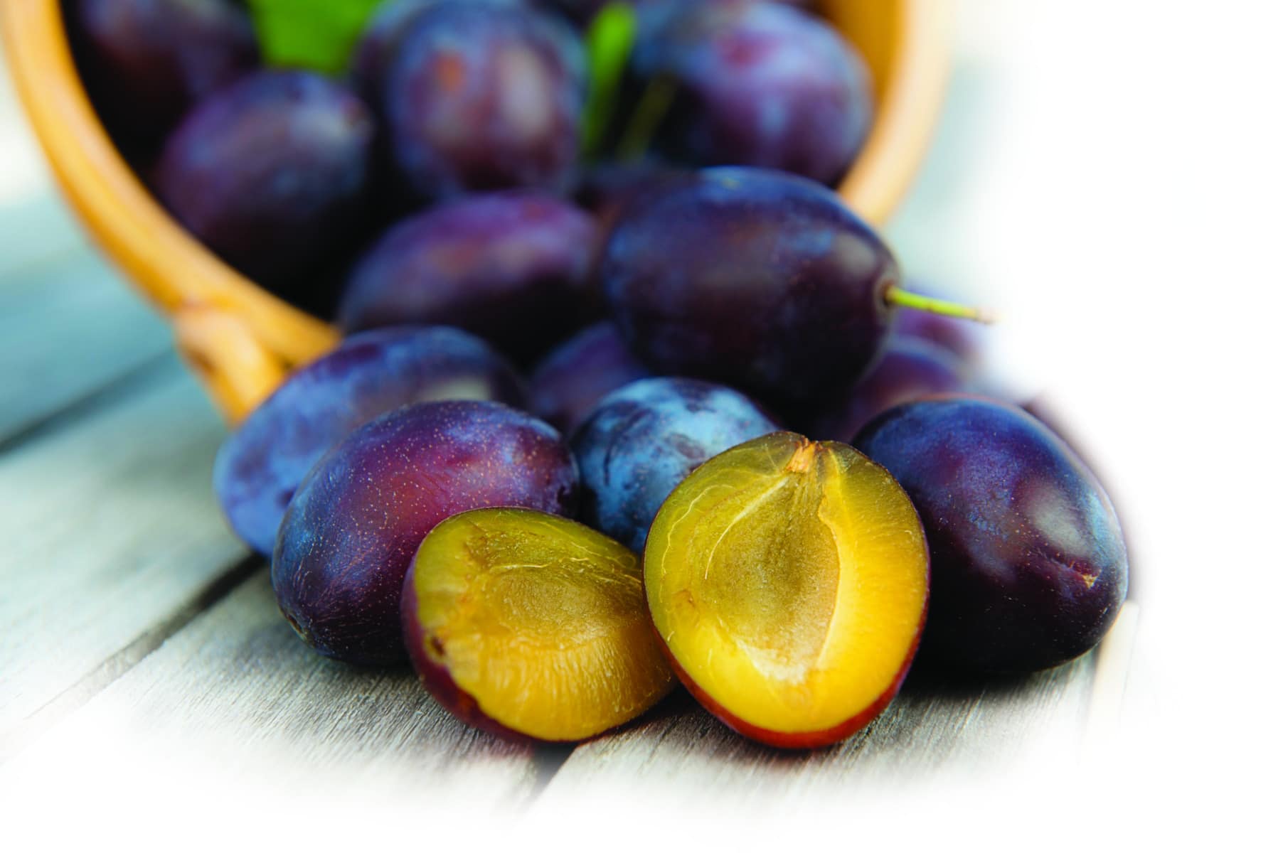 Detail Images Of Plums Nomer 37