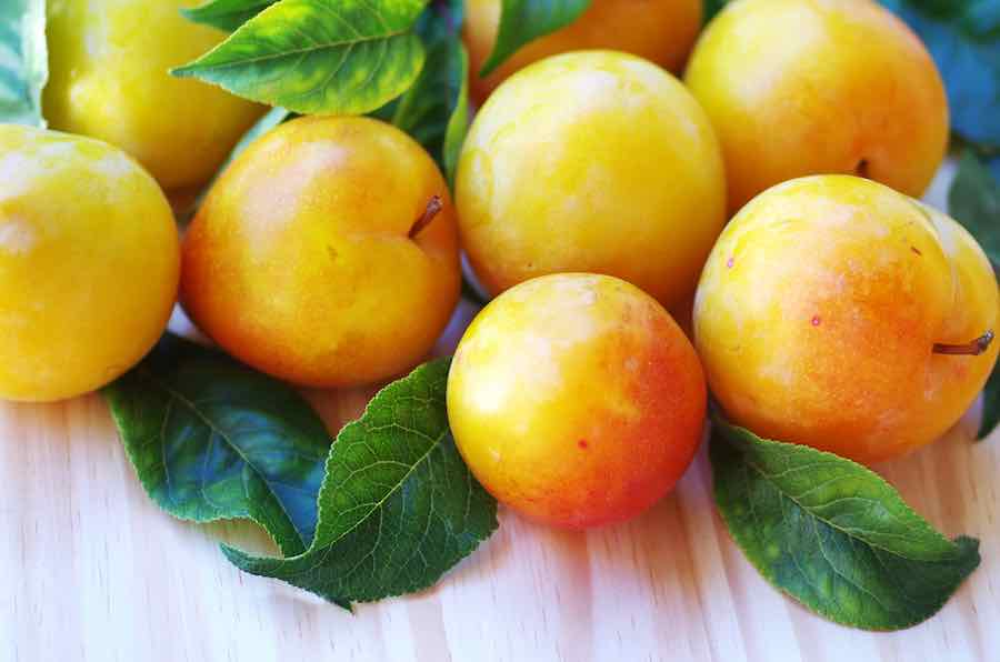 Detail Images Of Plums Nomer 54