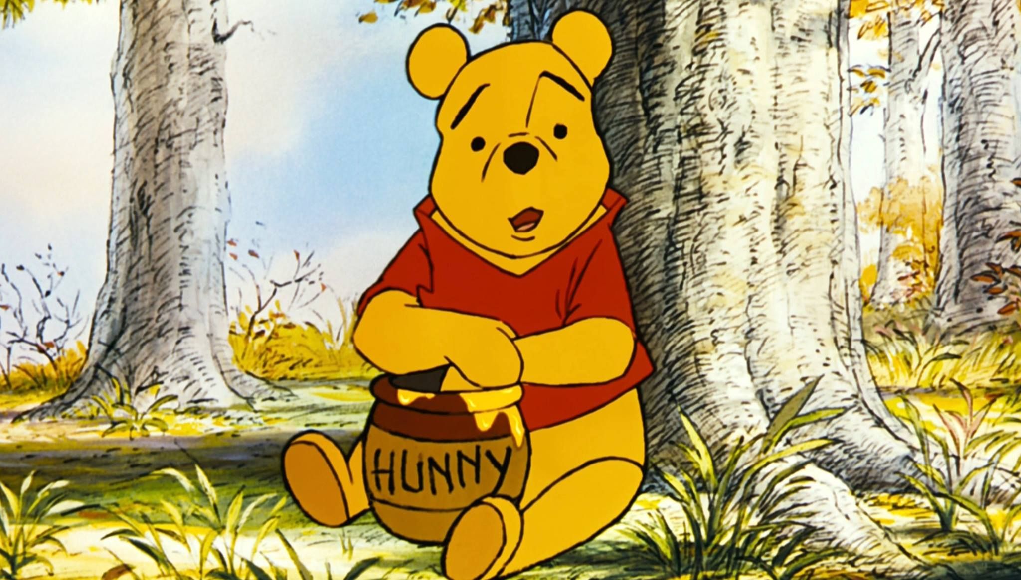 Detail Images Of Pooh Nomer 14