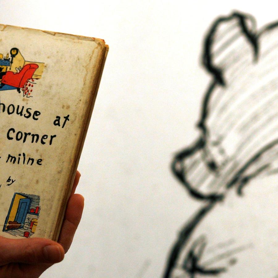 Detail Images Of Pooh Nomer 48
