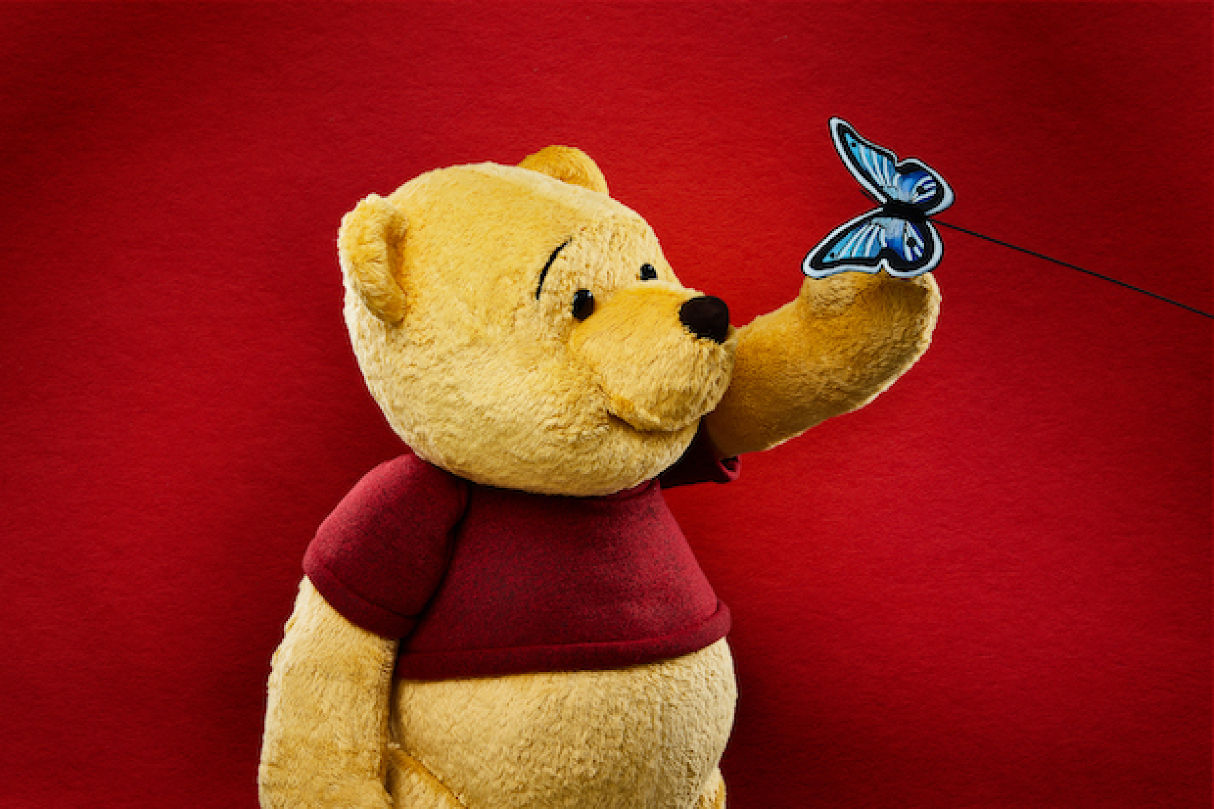 Detail Images Of Pooh Nomer 58