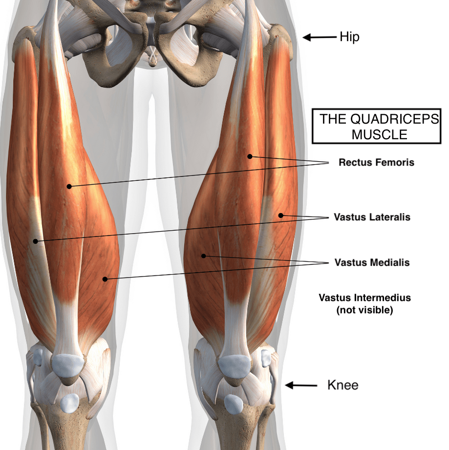 Detail Images Of Quads Nomer 16